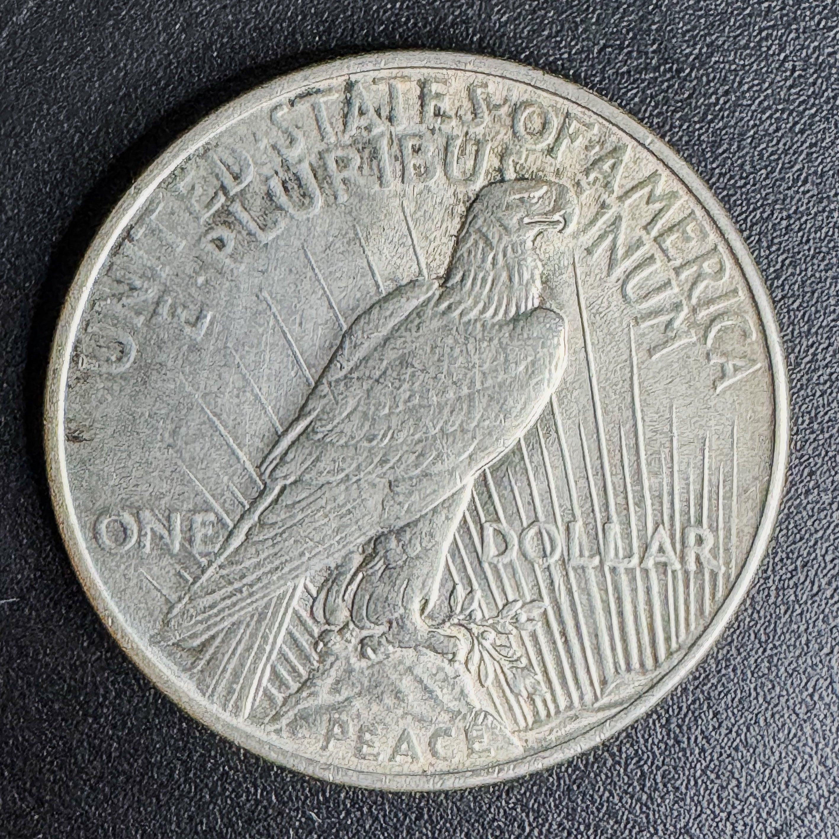Peace Silver Dollar (1921–1935) — 90% Silver (Random Year / VF+)